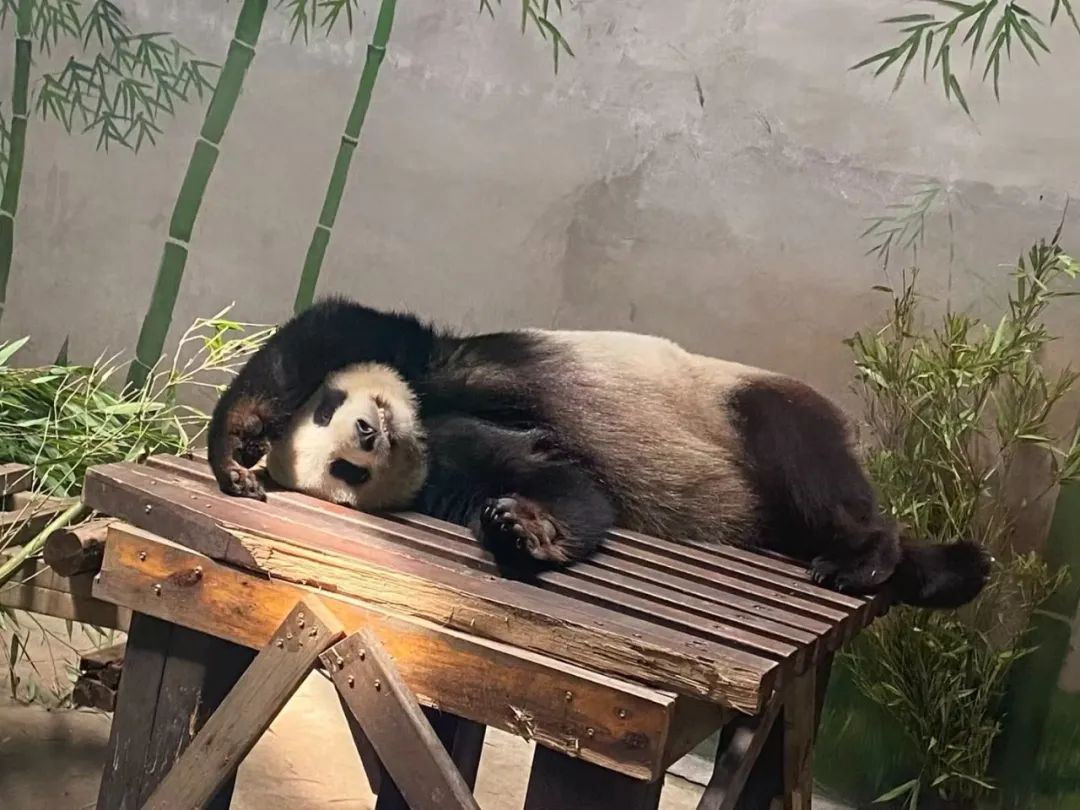 DƬ